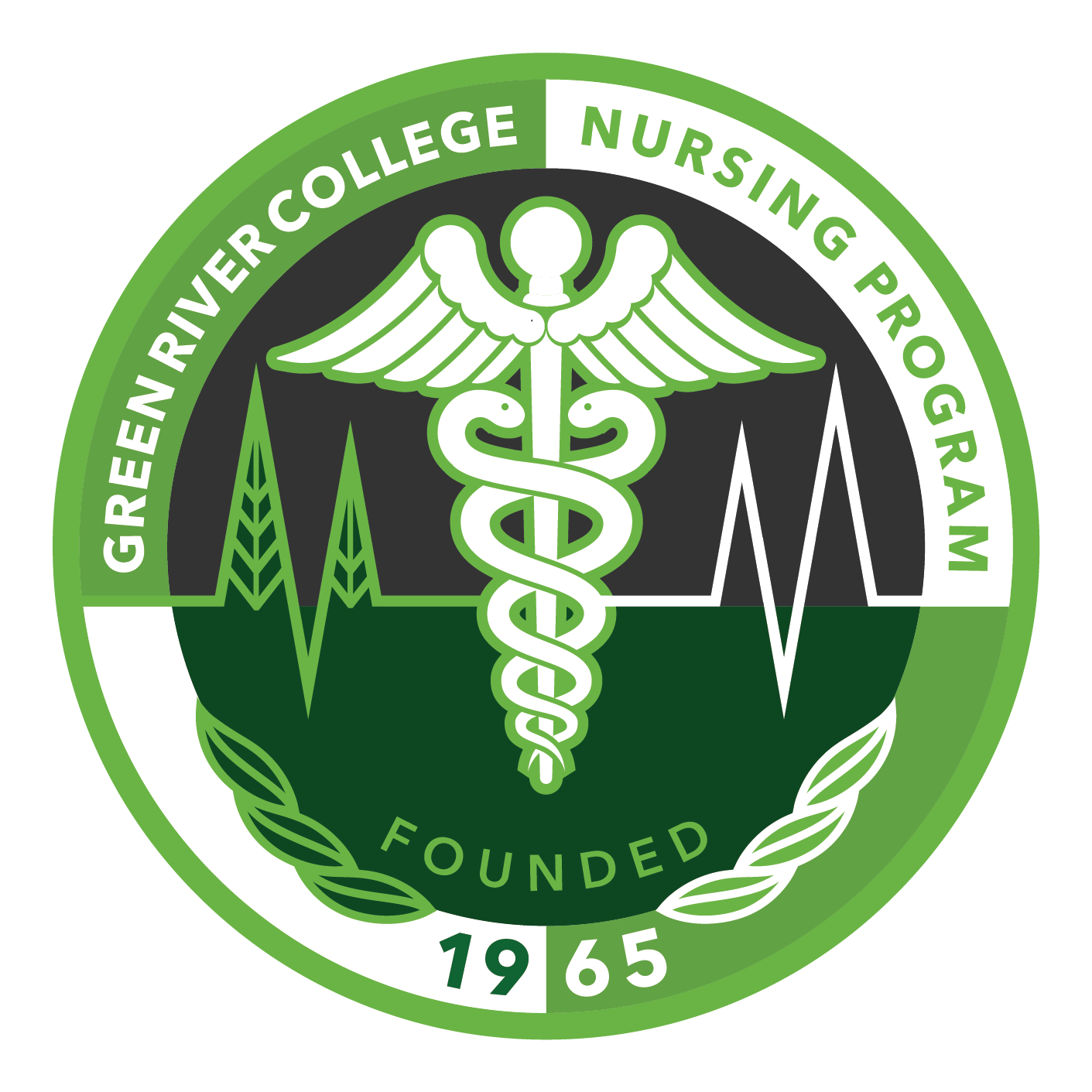 An image of a nursing website.
